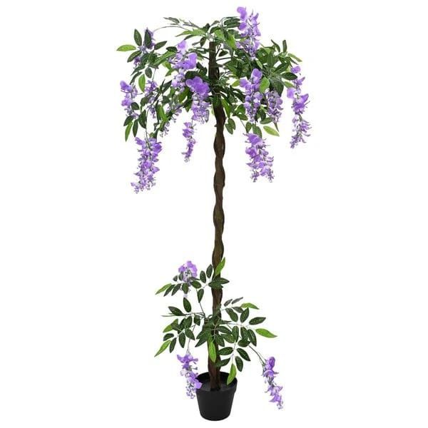 Wisteria (Glicina )La Ghiveci