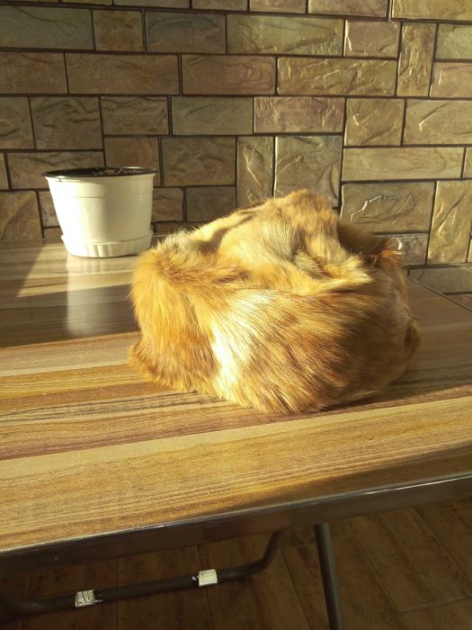 Дамска кожена шапка /калпак/ и кожена яка и двете са от лисица.