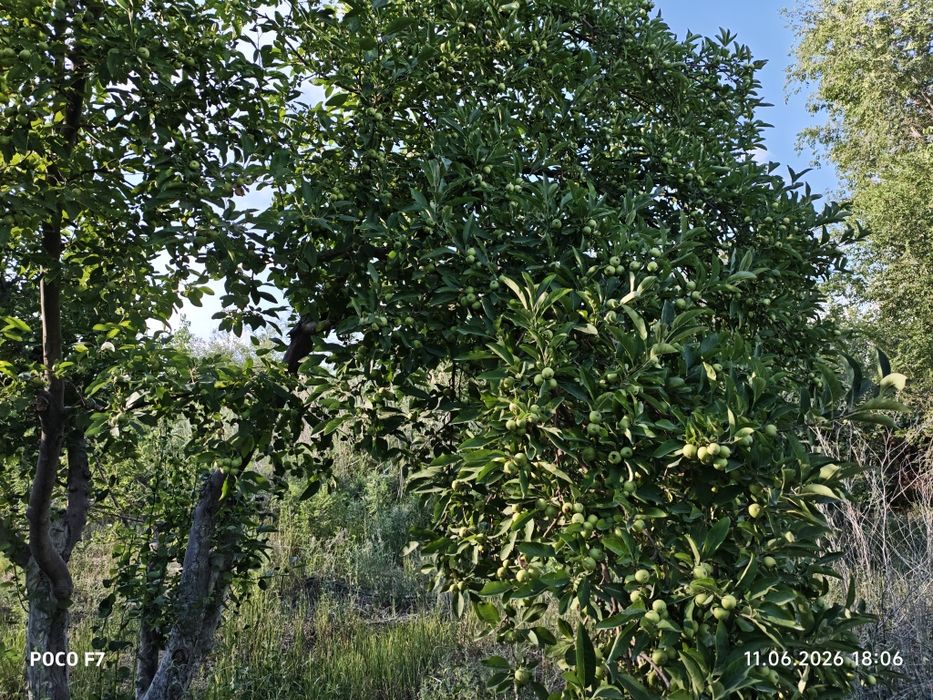 46 соток , Продаётся дом 3 комнат,,,