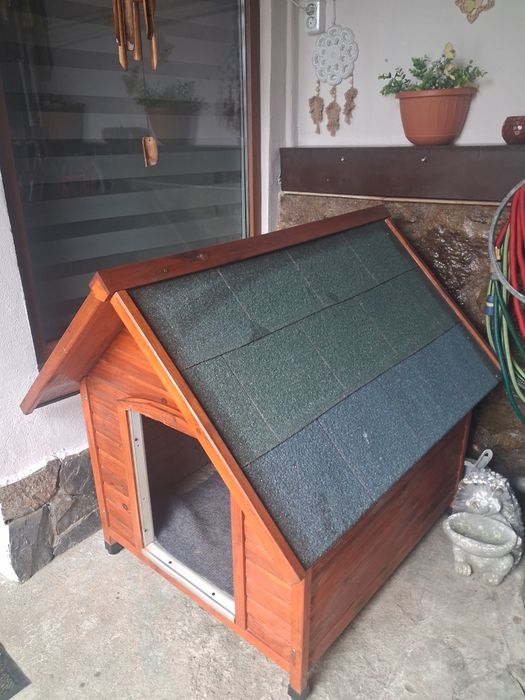 Cusca caine, talie medie