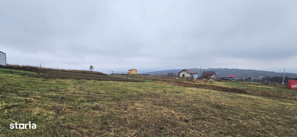 Teren intravilan Chicerea - Tomesti - 656 mp + acces, lângă pădure