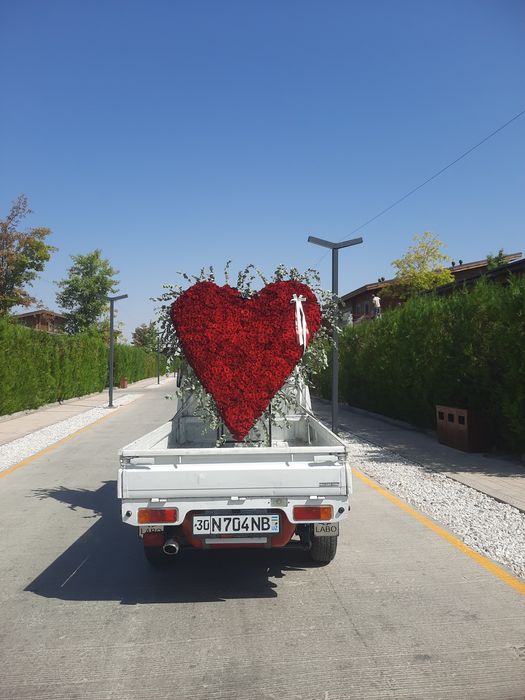 Labo samarqand 7 / 24 xizmata