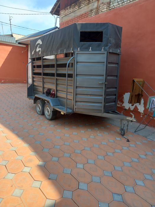 Seresep potiladi ot tashish uchun m6jalangan