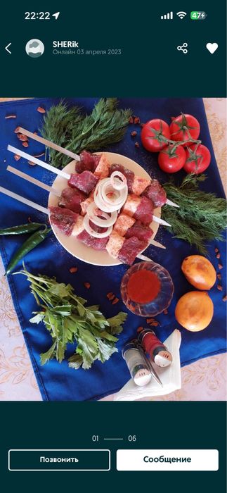 Шашлык Тайбекова 28