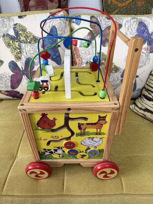 Vand jucarie de impins multifunctionala