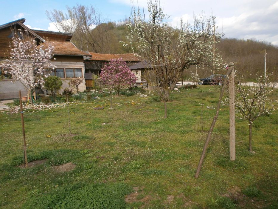 Vand casa cu teren 3000 m2 Bascenii de Sus