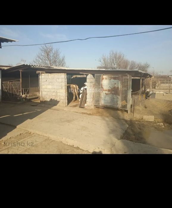 Продается дом на шолдале