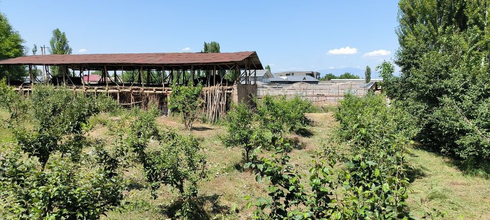 24 сотх учаска сотилади