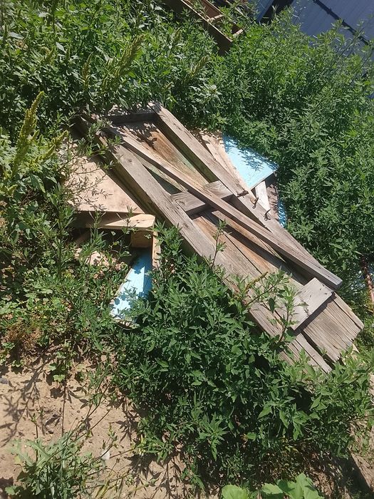 Отдам дрова срочно самовывоз