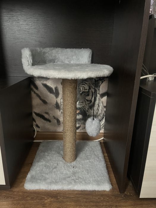 Продаю когтеточку и лежанку!