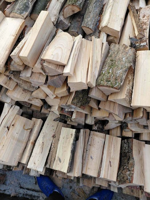 Vând lemne de fag esență tare  verzi uscate !!!