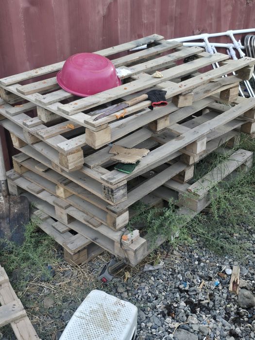 Poddon sotiladi holati yaxshi 100 tacha bor