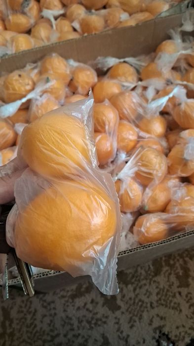 Лимонзор Лимонария ИССИКХОНА ТЕПЛИЦА Парник  Навоий Шахрида жойлашган