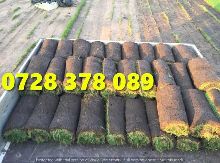 Rulouri de gazon plus Montaj !