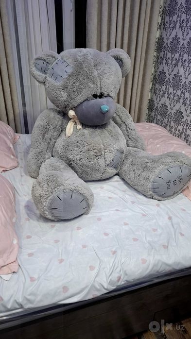 Katta Teddy ayiq sotiladi
