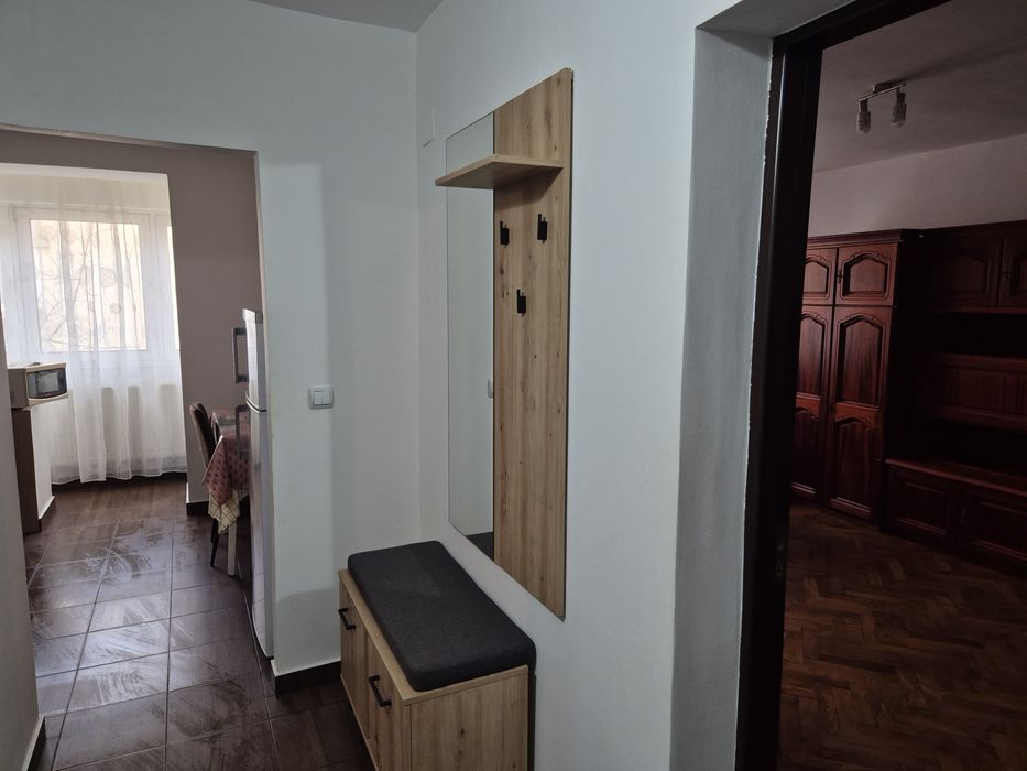 Ofer in chirie o garsoniera/apartament cu 1 camera