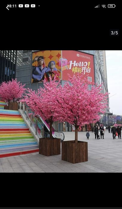 Dikarativni daraxtlar