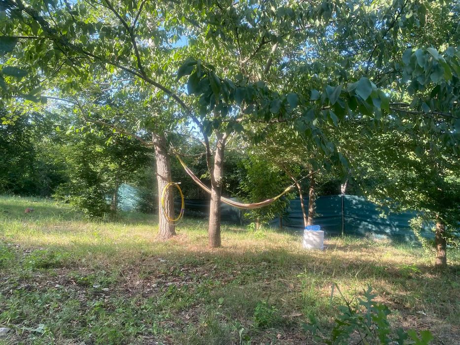 Продава се Парцел в с. Долище, Област Варна - 5000 кв.м за 4 €/кв.м - Снимка #15