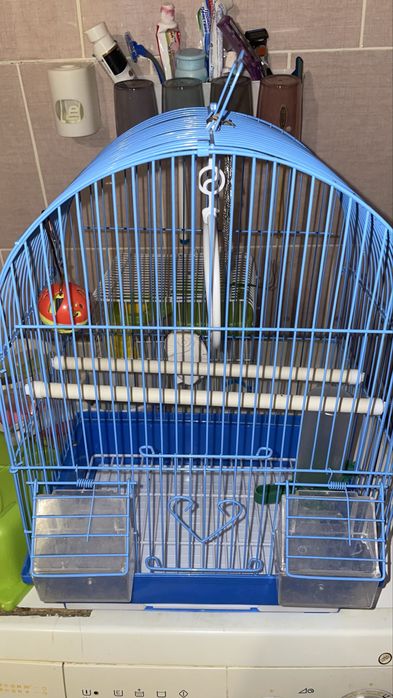 Клетка для попугаев район Сарыарка 4000 тг без торга