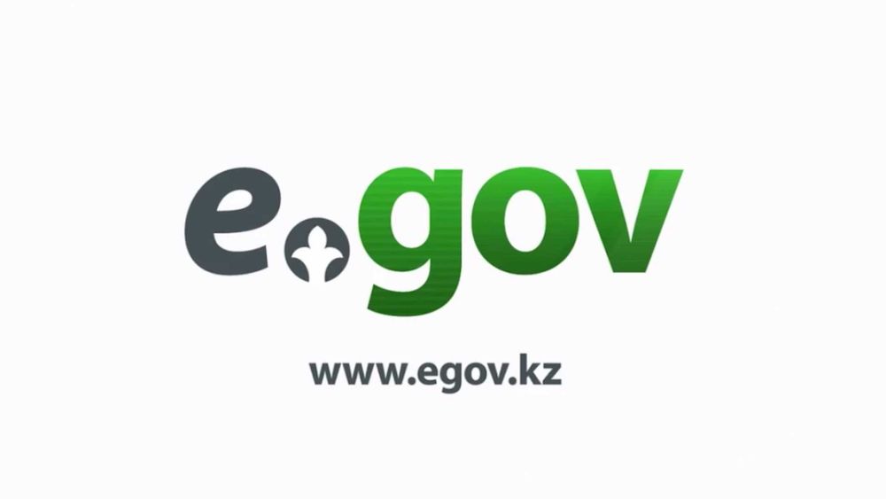 Компьютерный мастер(Работа с Egov, настройка устройств)