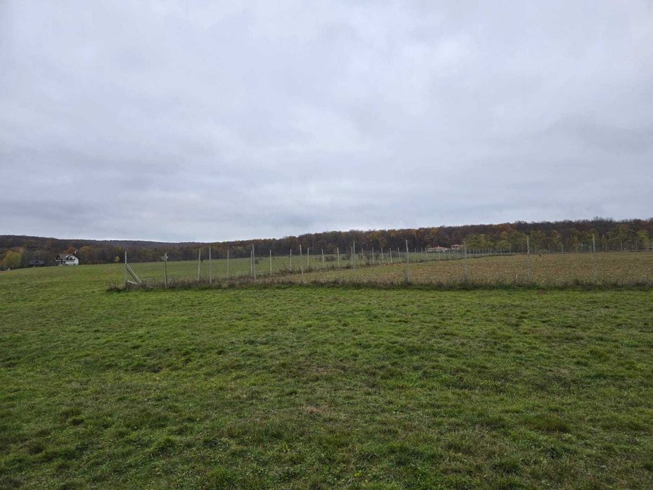 PARCELE INTRAVILAN M. Dragomirnei 11ari/.10ari/.9,2 ari zona MANASTIRE