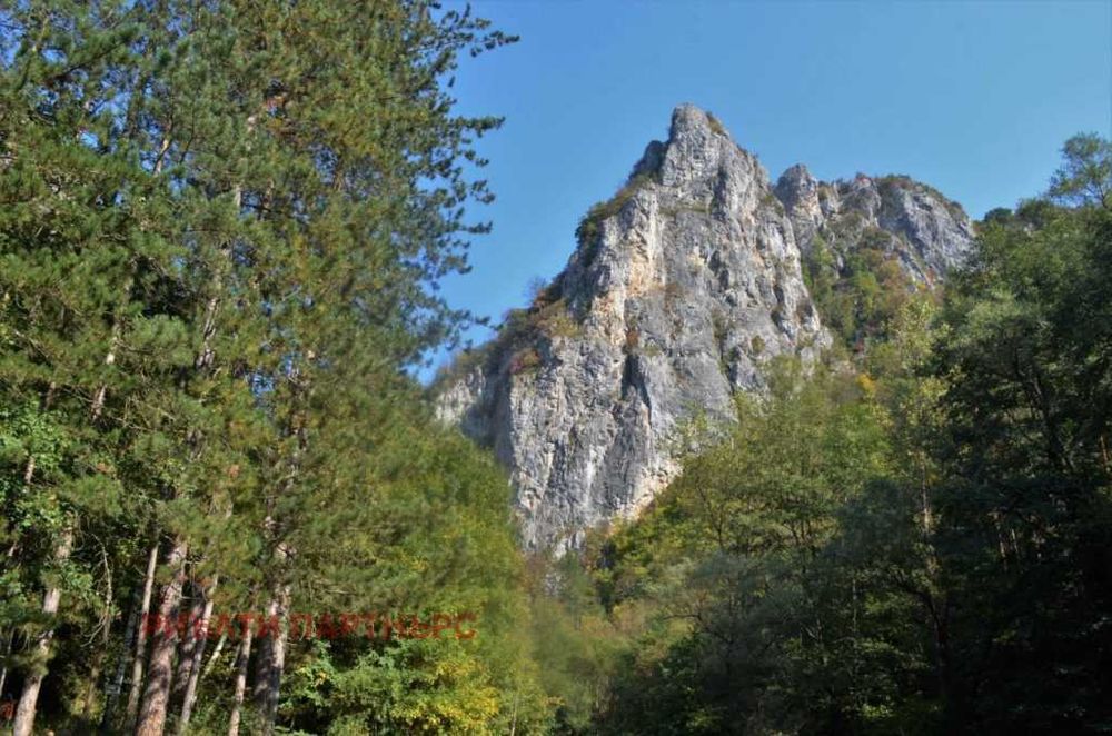 Продава се Парцел в Трън - 2101 кв.м за 9 €/кв.м - Снимка #14