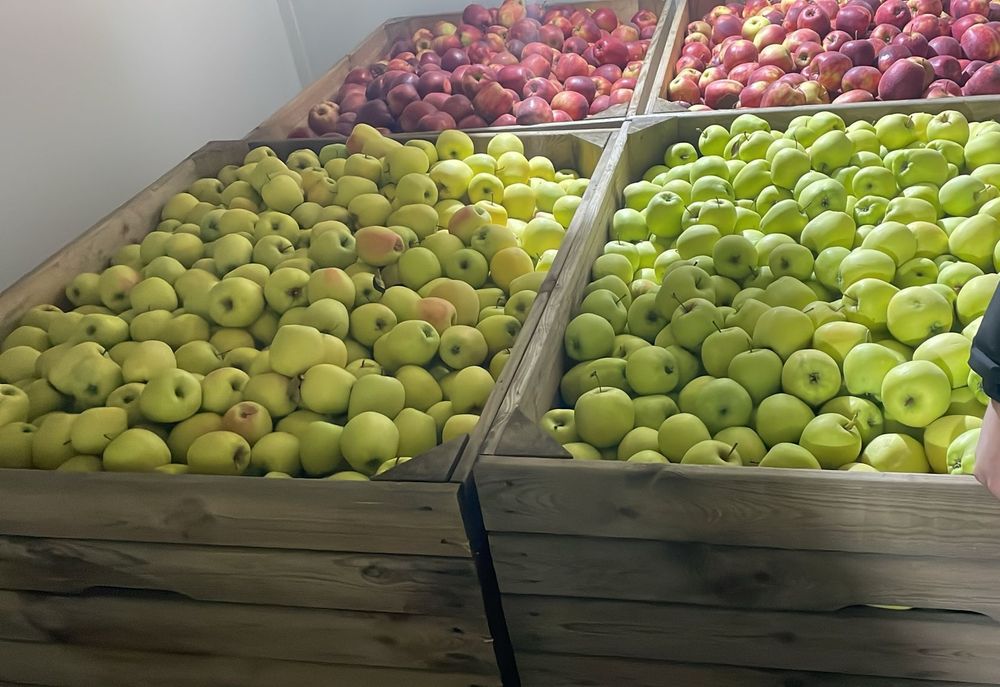 Vand mere Golden , Gala , Prince , Jeromir , Renet