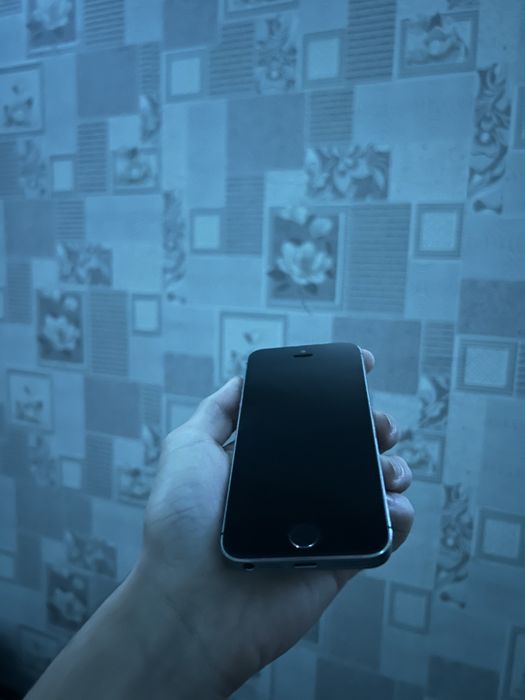 Обменяю или продам iPhone 5s