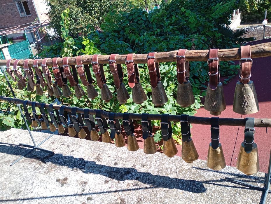 Чанове Звънци два модела