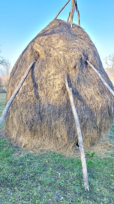 Claie cu fân -an 2025