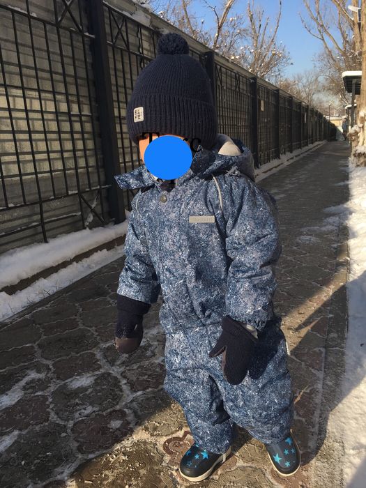 Камбенизон Зимний Крокид