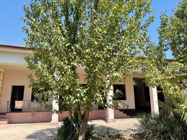 Kim Pen Xva, Tayyor hovli sotiladi, 6 sotix !     金品花 · 出售现成庭院，6亩！