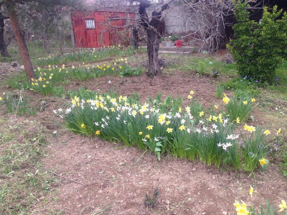 Продава се Къща в Сливен, в.з. Сливен - 20 кв.м за 1850 €/кв.м - Снимка #4