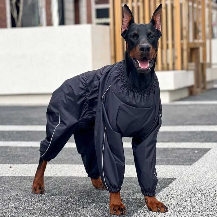 Дождевик для собаки (мальчик)