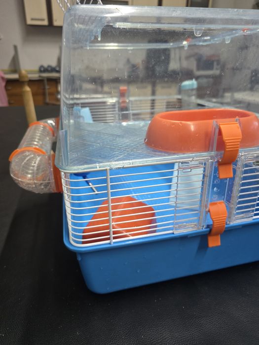 Cusca etajată  rozatoare  hamsteri