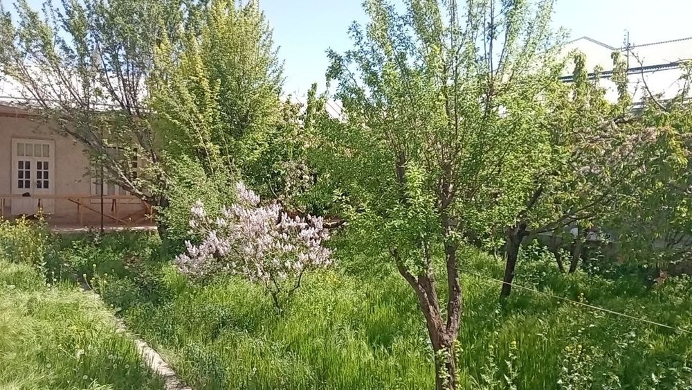 Срочно!!! уй сотилмокда