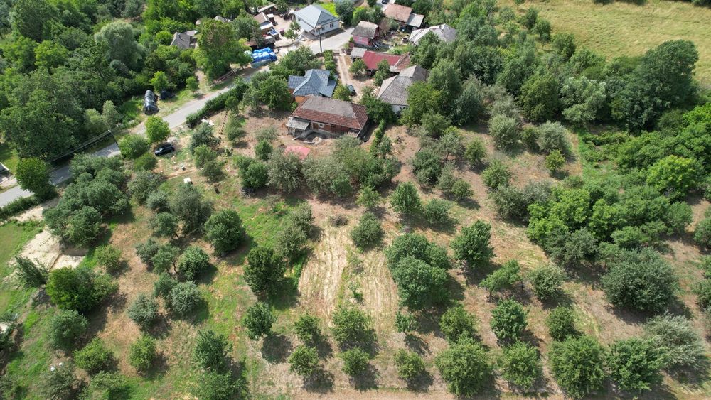 Casă cu teren de 4.800 mp de vânzare în Ocoliș, Maramureș – la doar 7 km de Baia Mare