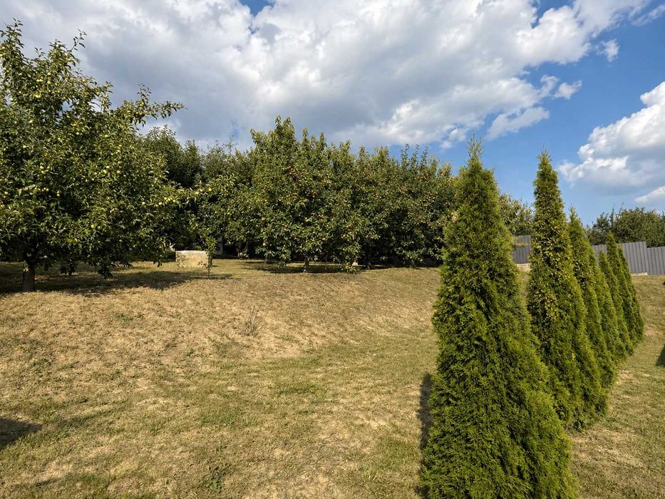 Casă P+M de vânzare în Râciu, Mureș | 200 mp | teren 1.285 mp | mobilată