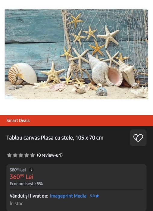 Tablou canvas stele marin plasa cu stele