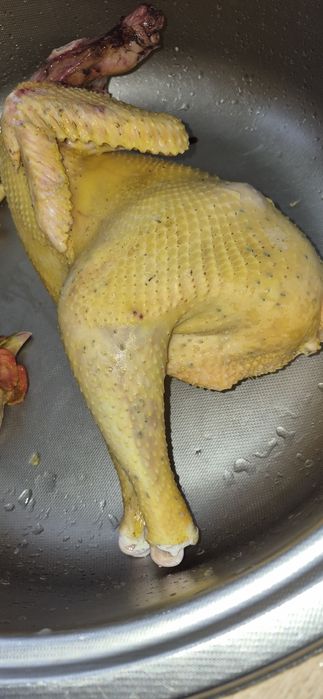 Cocoșii de casă tineri ,tăiați și vii