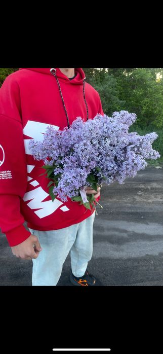 Букеты сирени свежие