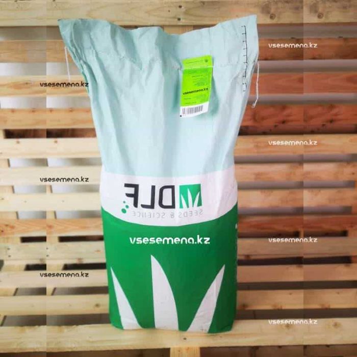 Газон Актау. 3 вида на выбор