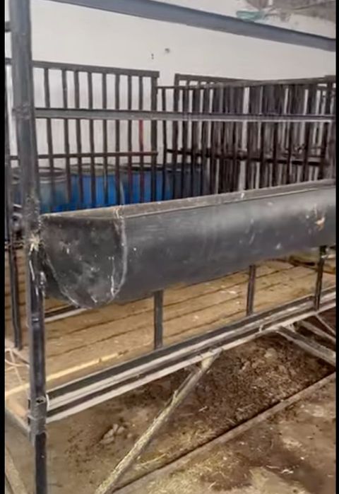 Qo'yxona sotiladi ( srochna)