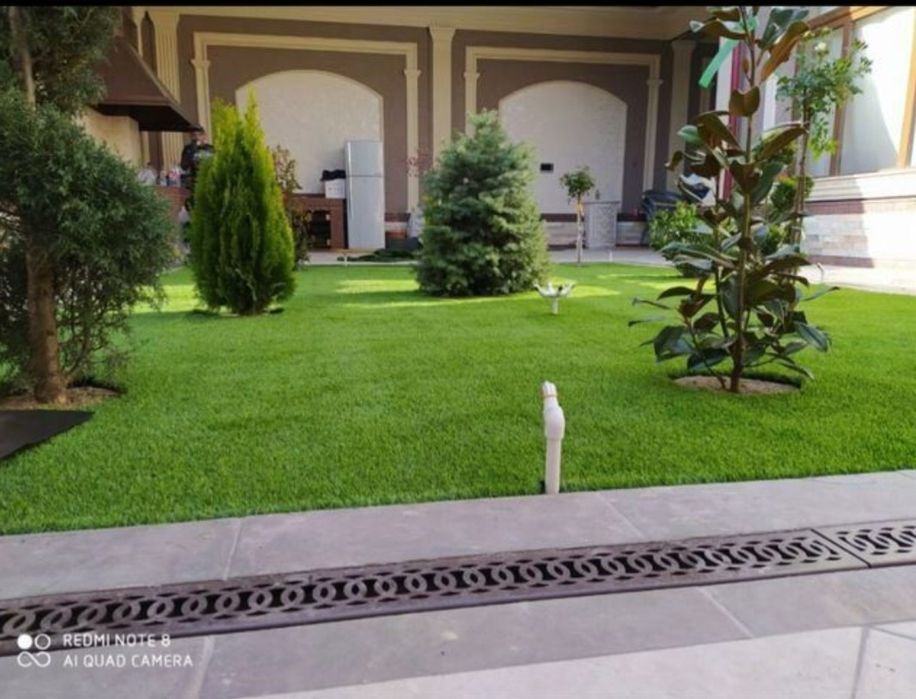 Газон барча турларидан мавжуд гуллар екамиз арчага ишлов берамиз дори