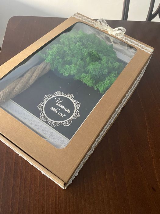 Живи картини от скандинавски мъх