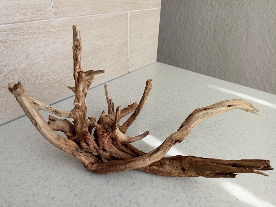 Коряги для аквариума. Аквариумные коряги. Обработанные. Прожаренные.