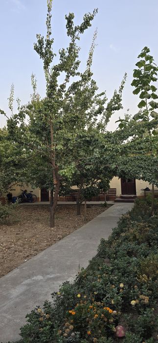 Кибрай 6.сот.5хона.