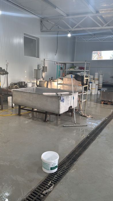 Продам сыр Сулугуни