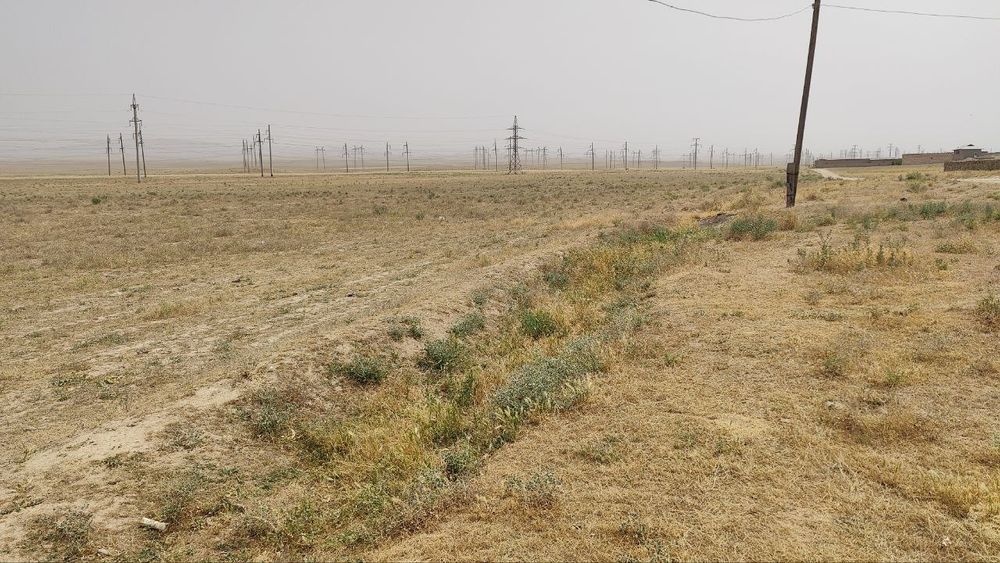 Yangioboddan 48 so'tix bo'sh yer maydoni sotiladi