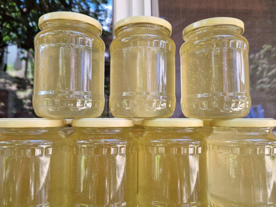 Miere Curată și Naturală – Recoltată cu Grijă din Stupină Proprie!